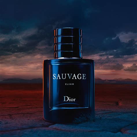 dior sauvage copia|colognes that smell like sauvage.